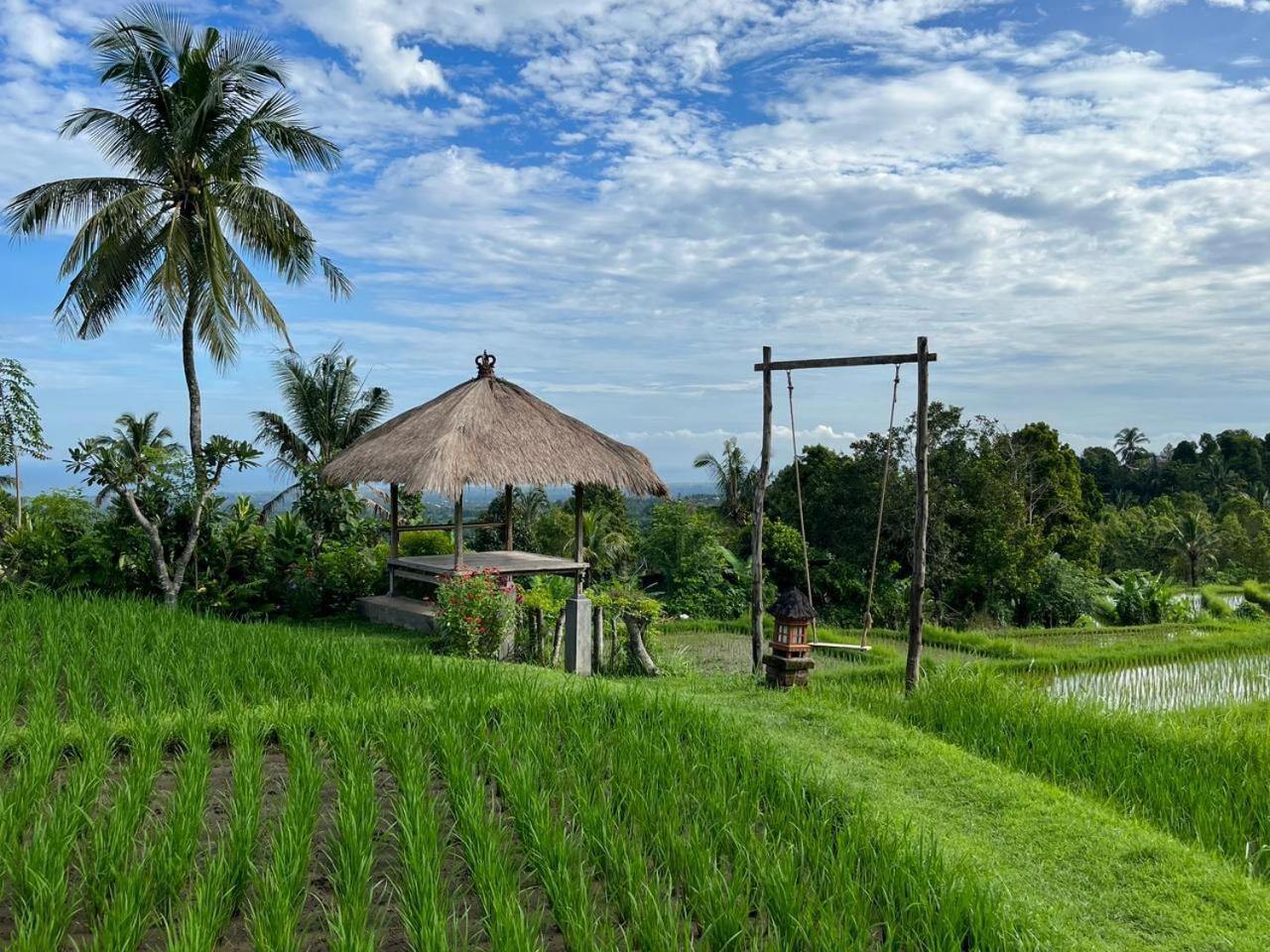 Pondok Apsari 2 Singaraja  Bagian luar foto